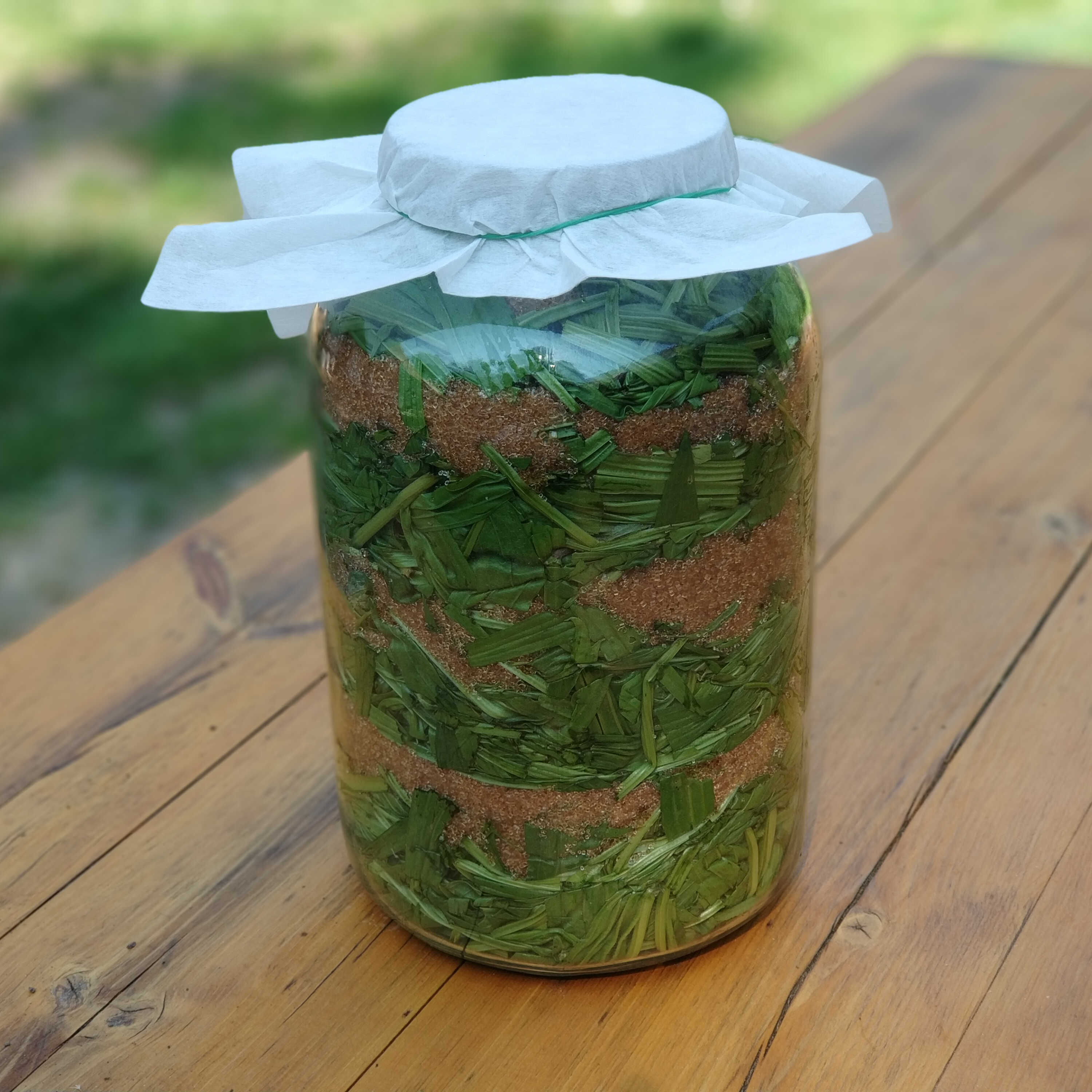 Jitrocelový sirup 100 ml
